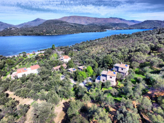 Geras Olive Grove (Elaionas Tis Geras)