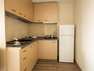 VILA NICOPOLE ART AND WINE