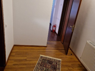 Villa Pinul si Mesteacanul