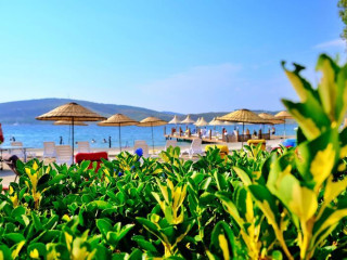 OSCAR SEASIDE HOTEL  SPA