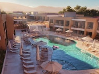 WHITE OLIVE ELITE LAGANAS