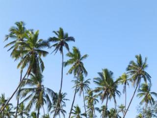 Zanzibar Bahari Villas