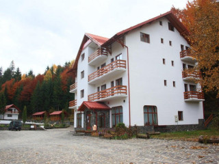 Hotel Paltinis (Borsa)