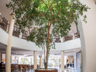 Aristoteles Holiday Resort  Spa