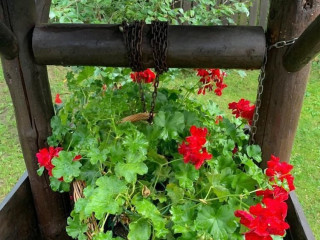 PENSIUNEA MILENIUM RESIDENCE