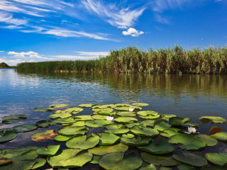 EXCURSIE 2 ZILE DELTA DUNARII - SULINA - GURA PORTITEI