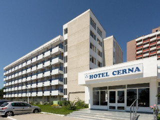 Cerna