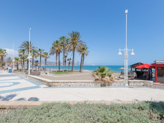 PACIFICO PLAYA IN M LAGA