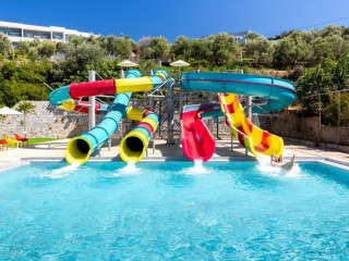 Dias by Azul Collection