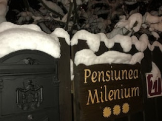 Pensiunea Milenium Residence