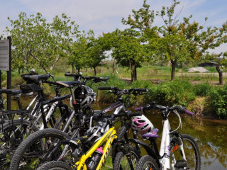 AGRITURISMO LA BARENA