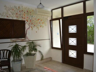 Xanemos Studios