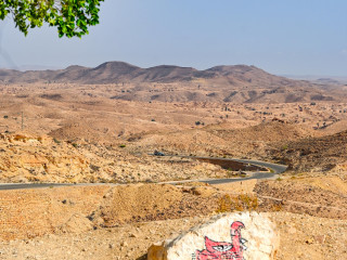 Explorarea Tunisiei de la Djerba la continent