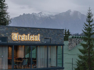 HOTEL URSULETUL