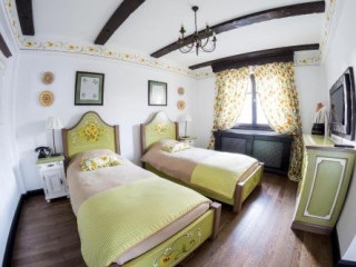 CONACU´ BOIERULUI -PONOARELE ( 60 KM FROM BAILE HERCULANE)