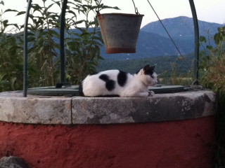 VILLA IN PALEOKASTRITES WITH SWIMMING POOL NEAR BEACHES