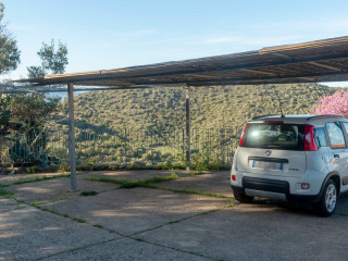 CASA CEDRO IN LUDDUI