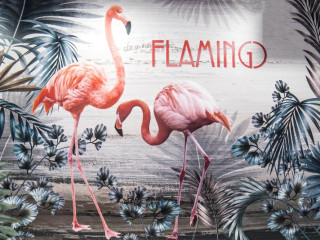 Flamingo Residence