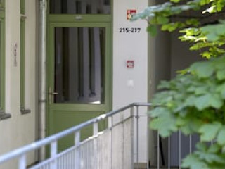 THE HIVE PARTY HOSTEL