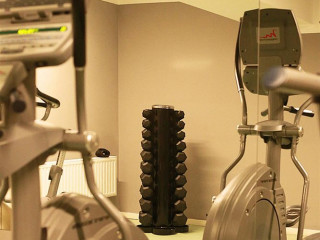 GOLDEN TULIP ANA DOME