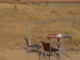 Bahari Beach and Safari Tsavo Explorer RO