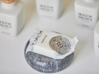 Puro Hotel Oasis Urbano