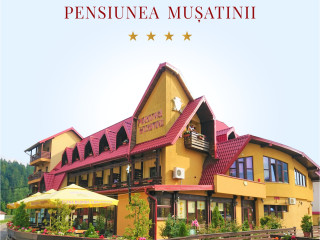 Pensiunea Musatinii  Putna