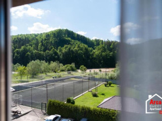 Arca Sweet Apartment Ariniș