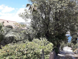 WONDERFULL VIEW TO THE ENTIRE BAY OF ZATON