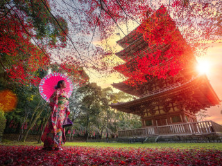 Circuit Japonia spectacolul toamnei