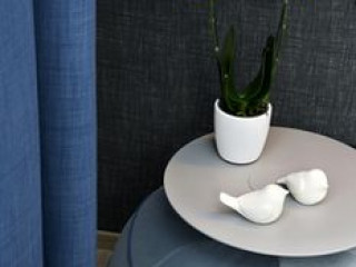 CONTI GUEST HOUSE
