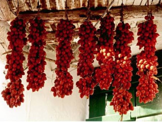 AGRITURISMO LA PERGOLA
