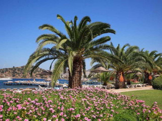 PRINCESS ARTEMISIA HOTEL