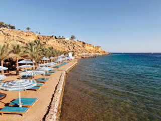 Albatros Sharm Resort