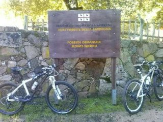 BANDB IL VIGNETO