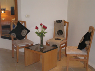 Les Palmiers