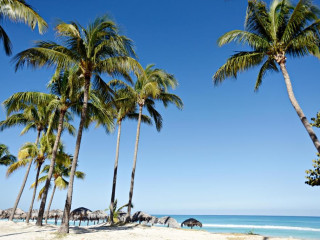 Starfish Cuatro Palmas