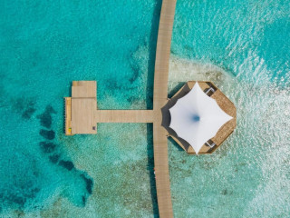 Cinnamon Hakuraa Huraa