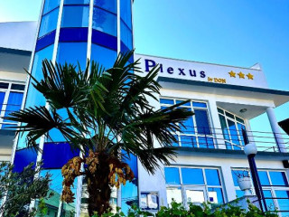 Plexus by DON