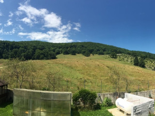 PENSIUNEA POIANA CRISTIAN