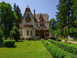Vila Camelia Sinaia