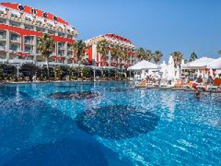 ORANGE COUNTY BELEK - FAMILY CONCEPT
