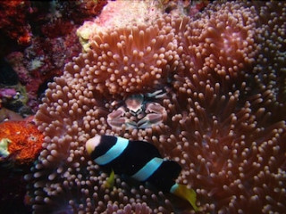 RIVELI RETREAT AT MATHIVERI MALDIVES