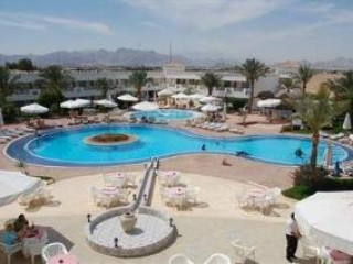 VIVA SHARM