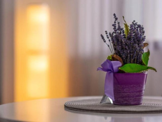 Bucegi View 39 - Colina Marei