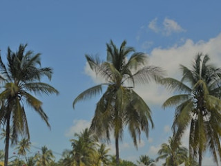 Zanzibar Dream Lodge