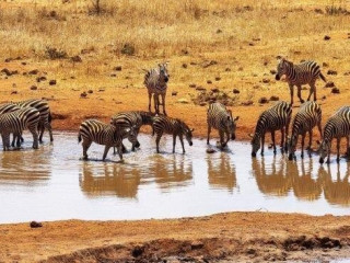 Prideinn Paradise Beach Resort and Safari Tsavo Explorer RO