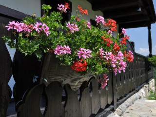 Pensiunea Casuta Bunicii