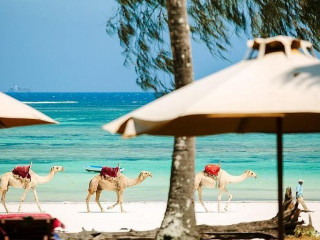 THE SANDS AT NOMAD
