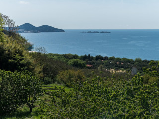 GUESTHOUSE MORETIC